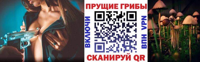Псилоцибиновые грибы Psilocybine cubensis  blacksprut ССЫЛКА  Козельск 